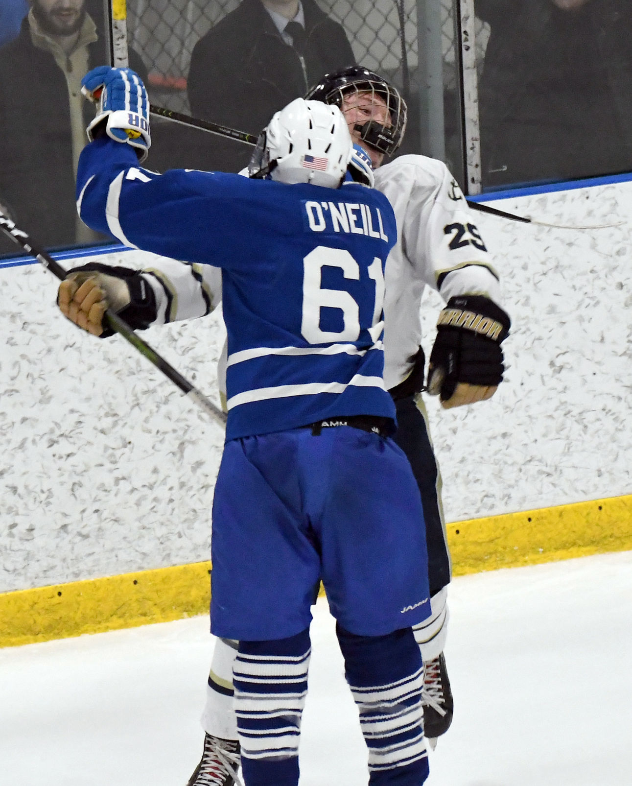 Skaneateles Grand Island 21.JPG